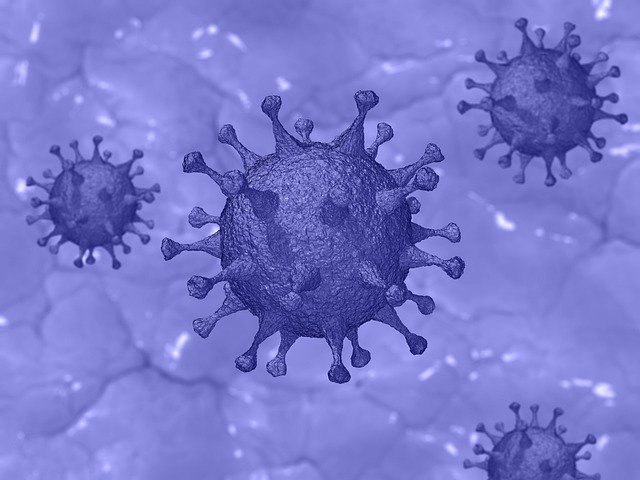 Symbolbild Corona-Virus Pixabay