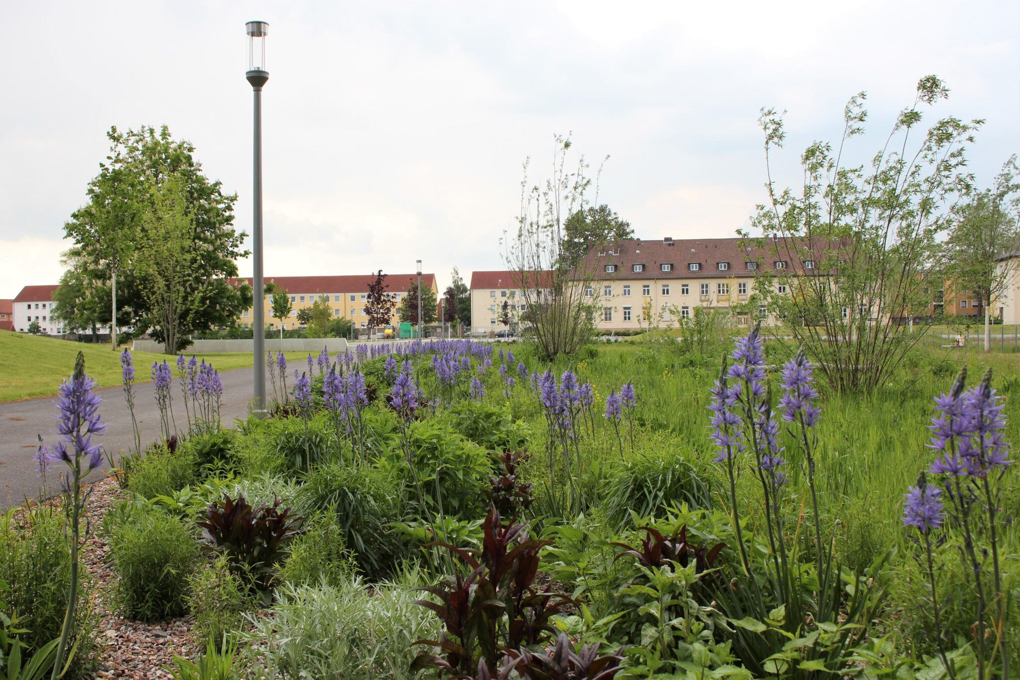 Hameln AdaLessingPark wird der Öffentlichkeit übergeben radio aktiv