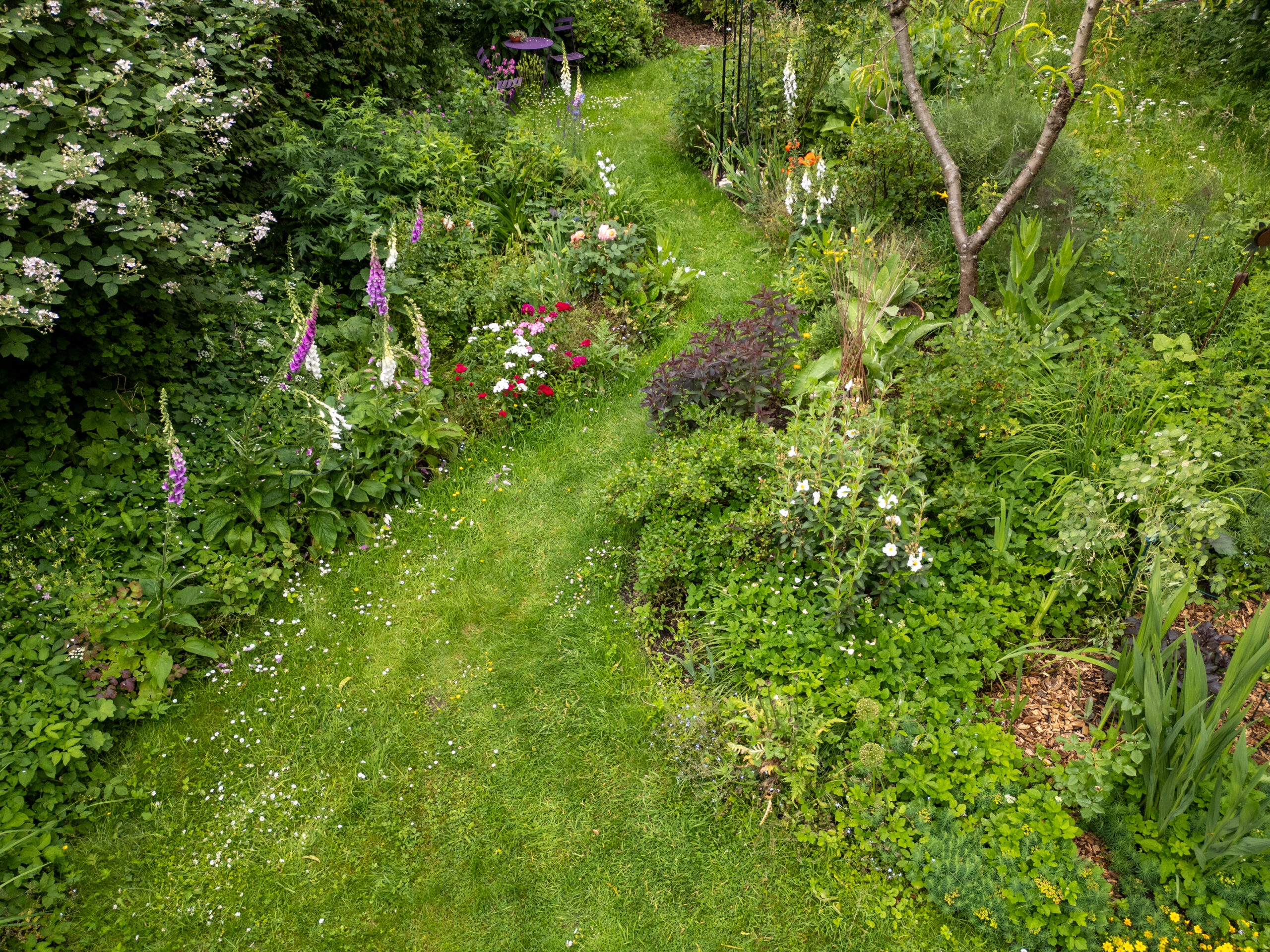 Hitzestress im Garten? Darum sollten Sie die Beete aktuell lieber in Ruhe lassen episode artwork